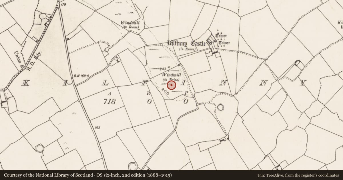 Ordnance Survey six-inch map, 2nd edition (1888–1915) covering the location of Ringfort - cashel, Kilfinny, County Limerick, with a pin at the register's coordinates