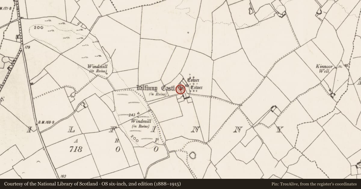 Ordnance Survey six-inch map, 2nd edition (1888–1915) covering the location of Castle - hall-house, Kilfinny, County Limerick, with a pin at the register's coordinates