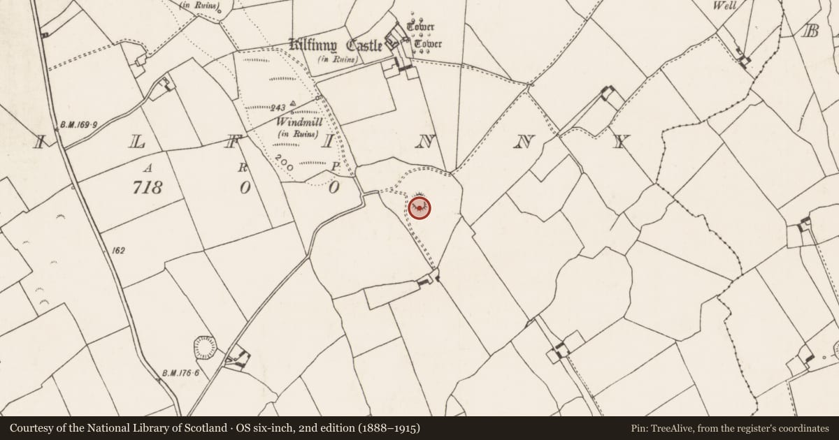 Ordnance Survey six-inch map, 2nd edition (1888–1915) covering the location of Ringfort - rath, Kilfinny, County Limerick, with a pin at the register's coordinates