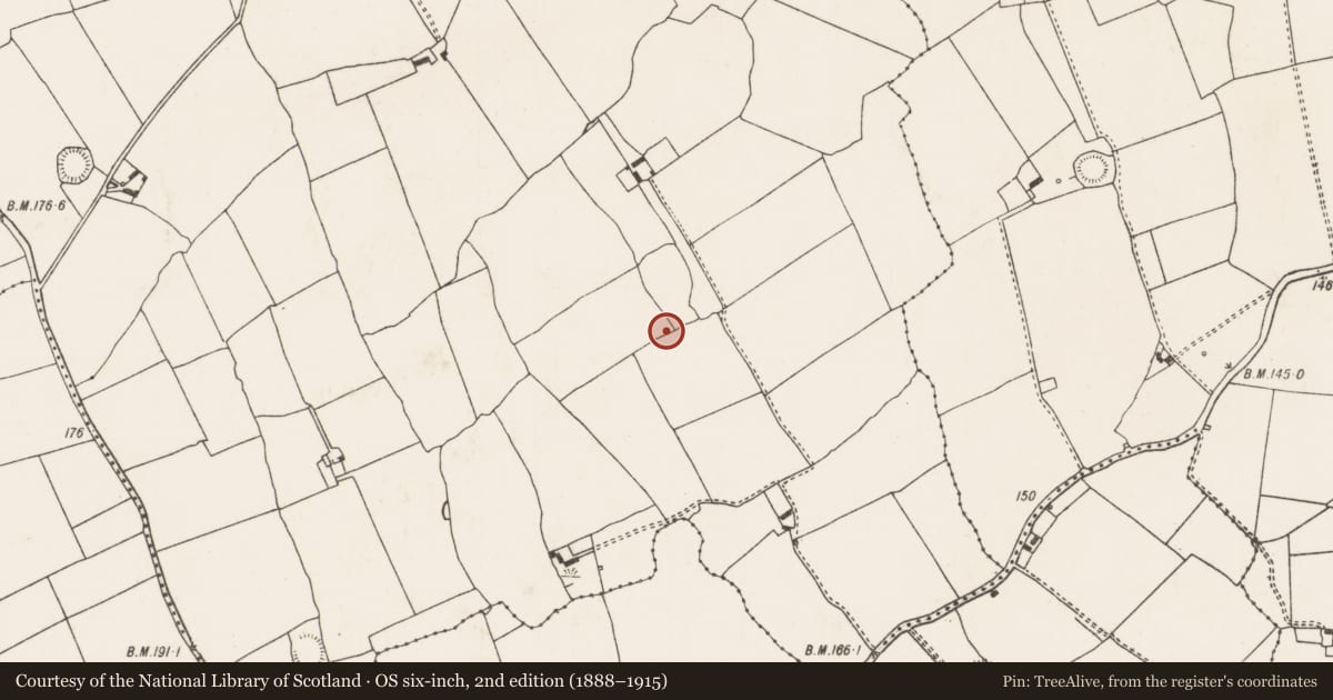 Ordnance Survey six-inch map, 2nd edition (1888–1915) covering the location of Ringfort - rath, Kilfinny, County Limerick, with a pin at the register's coordinates