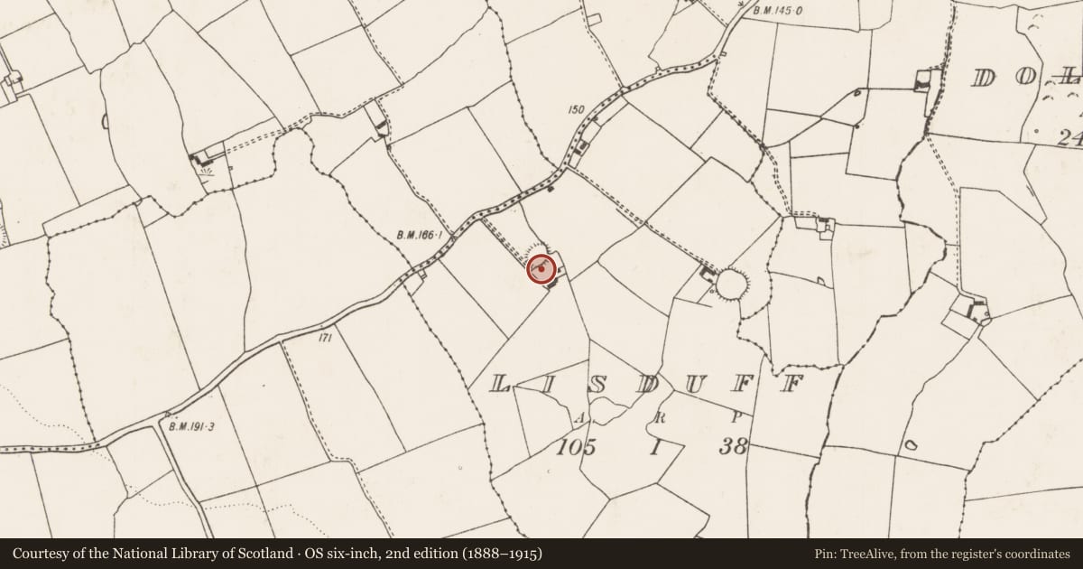 Ordnance Survey six-inch map, 2nd edition (1888–1915) covering the location of Ringfort - rath, Lisduff, County Limerick, with a pin at the register's coordinates