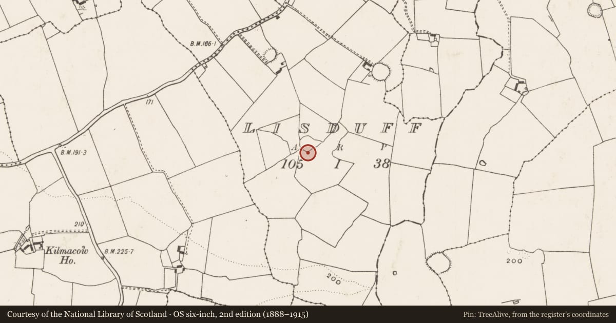 Ordnance Survey six-inch map, 2nd edition (1888–1915) covering the location of Ringfort - rath, Lisduff, County Limerick, with a pin at the register's coordinates