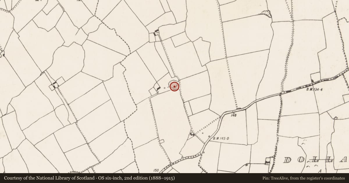 Ordnance Survey six-inch map, 2nd edition (1888–1915) covering the location of Ringfort - rath, Ballymackeamore, County Limerick, with a pin at the register's coordinates