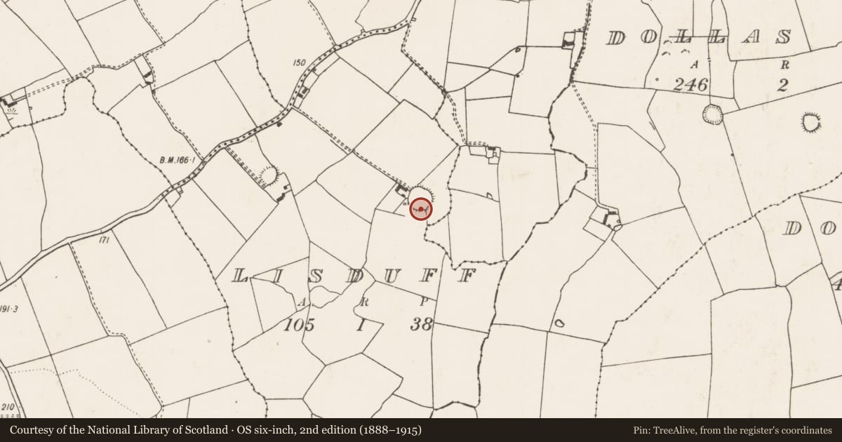 Ordnance Survey six-inch map, 2nd edition (1888–1915) covering the location of Ringfort - rath, Lisduff, County Limerick, with a pin at the register's coordinates
