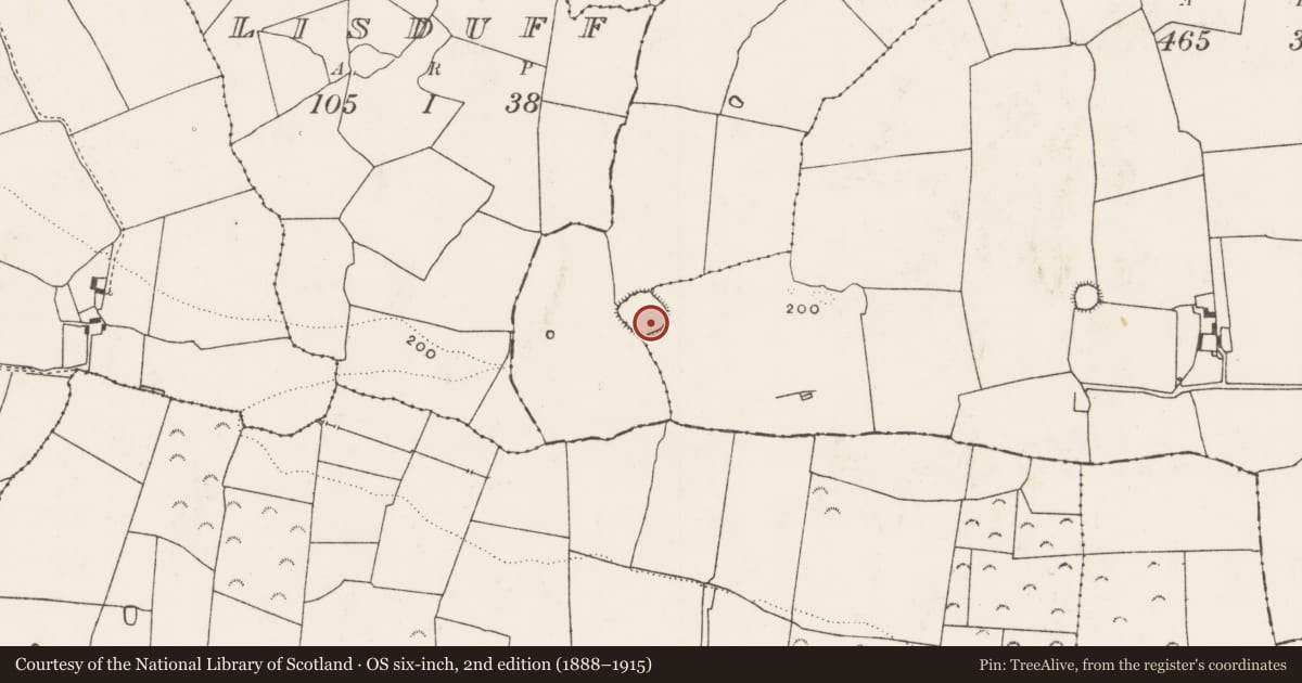 Ordnance Survey six-inch map, 2nd edition (1888–1915) covering the location of Ringfort - rath, Dollas Upper, County Limerick, with a pin at the register's coordinates