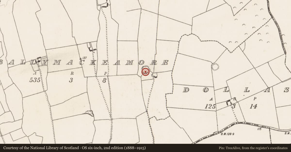 Ordnance Survey six-inch map, 2nd edition (1888–1915) covering the location of Ringfort - rath, Ballymackeamore, County Limerick, with a pin at the register's coordinates