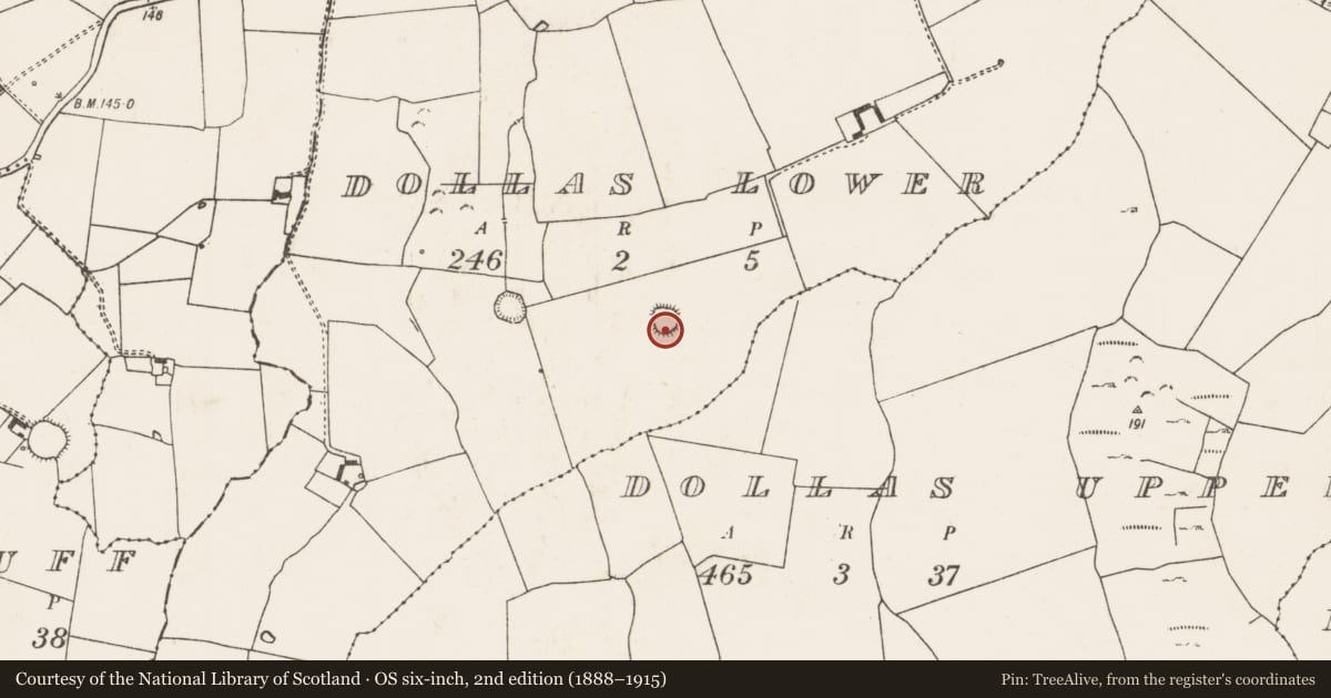 Ordnance Survey six-inch map, 2nd edition (1888–1915) covering the location of Ringfort - rath, Dollas Lower, County Limerick, with a pin at the register's coordinates