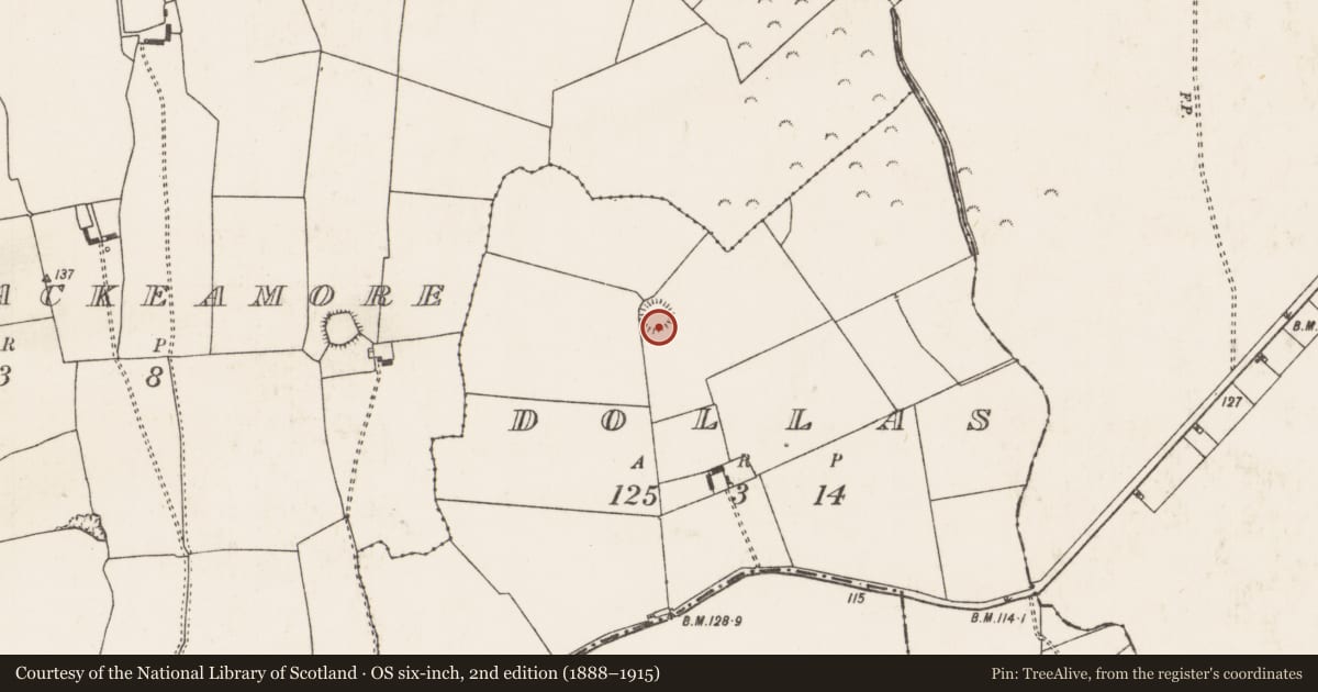 Ordnance Survey six-inch map, 2nd edition (1888–1915) covering the location of Ringfort - rath, Dollas, County Limerick, with a pin at the register's coordinates