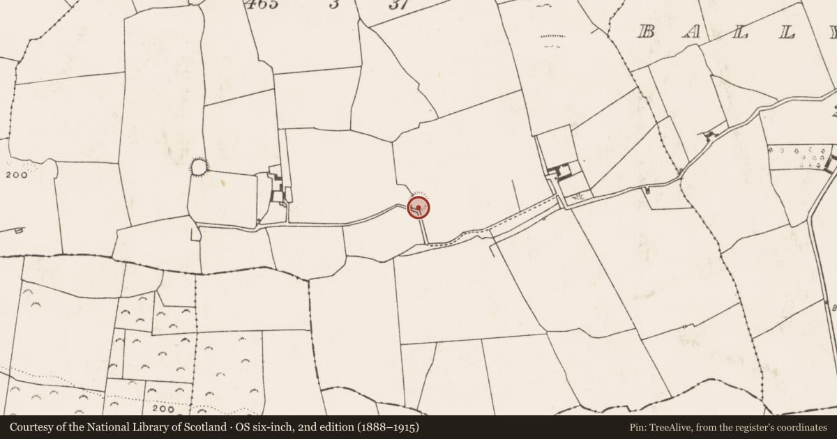 Ordnance Survey six-inch map, 2nd edition (1888–1915) covering the location of Ringfort - rath, Dollas Upper, County Limerick, with a pin at the register's coordinates