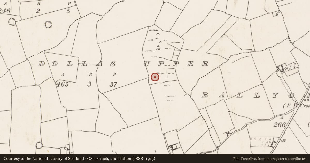 Ordnance Survey six-inch map, 2nd edition (1888–1915) covering the location of Graveyard, Dollas Upper, County Limerick, with a pin at the register's coordinates