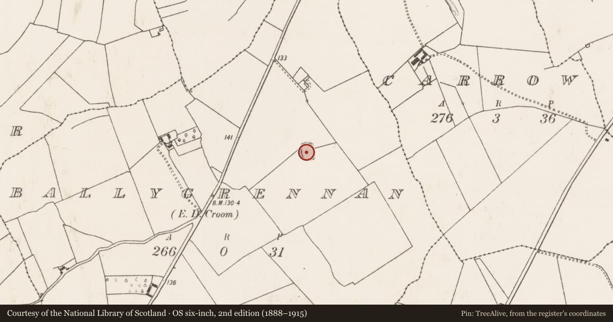 Ordnance Survey six-inch map, 2nd edition (1888–1915) covering the location of Moated site, Ballygrennan, County Limerick, with a pin at the register's coordinates