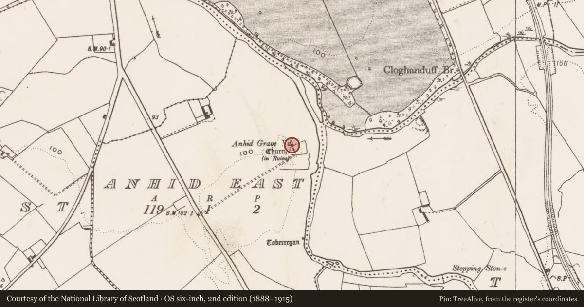 Ordnance Survey six-inch map, 2nd edition (1888–1915) covering the location of Ecclesiastical enclosure, Anhid East, County Limerick, with a pin at the register's coordinates