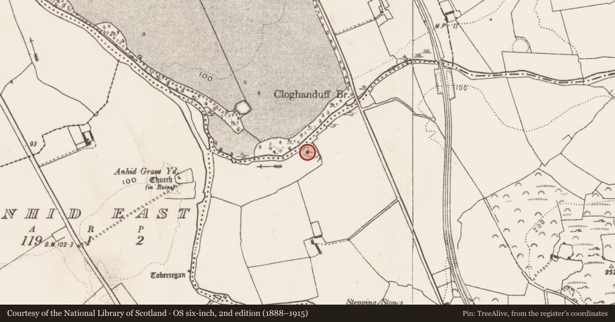 Ordnance Survey six-inch map, 2nd edition (1888–1915) covering the location of Cliff-edge fort, Tullovin, County Limerick, with a pin at the register's coordinates