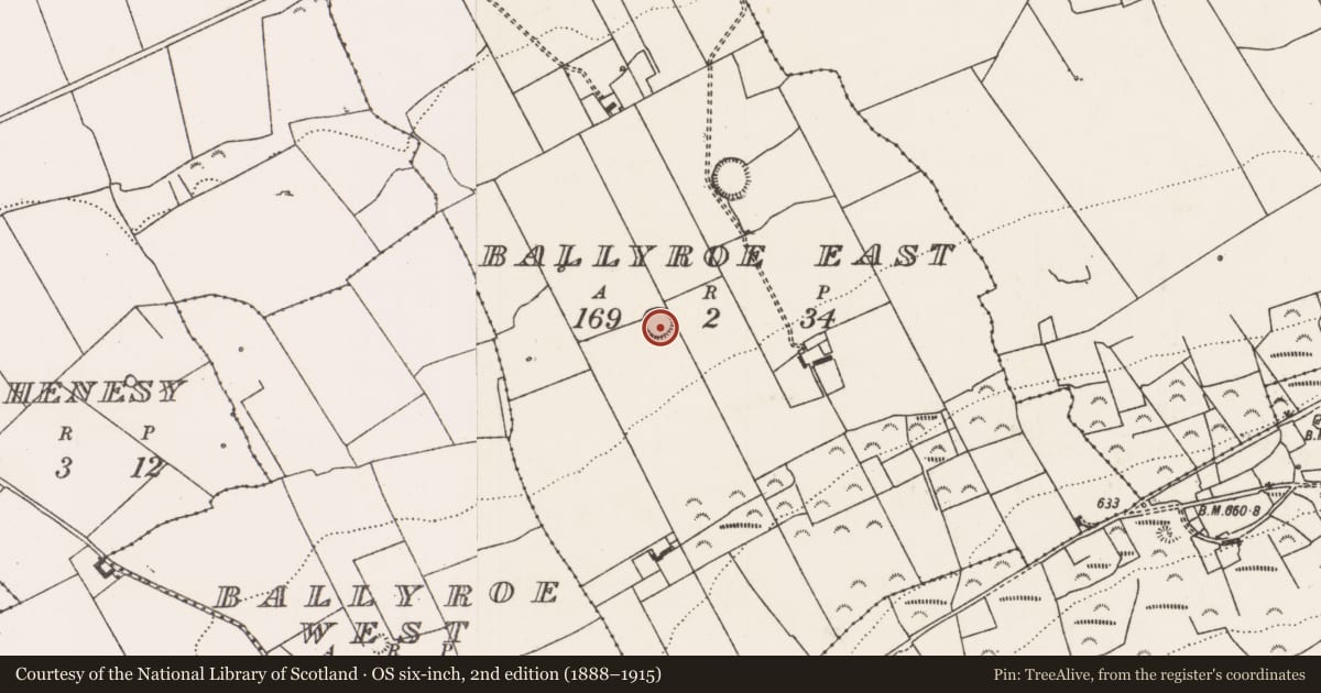 Ordnance Survey six-inch map, 2nd edition (1888–1915) covering the location of Enclosure, Ballyroe East, County Limerick, with a pin at the register's coordinates