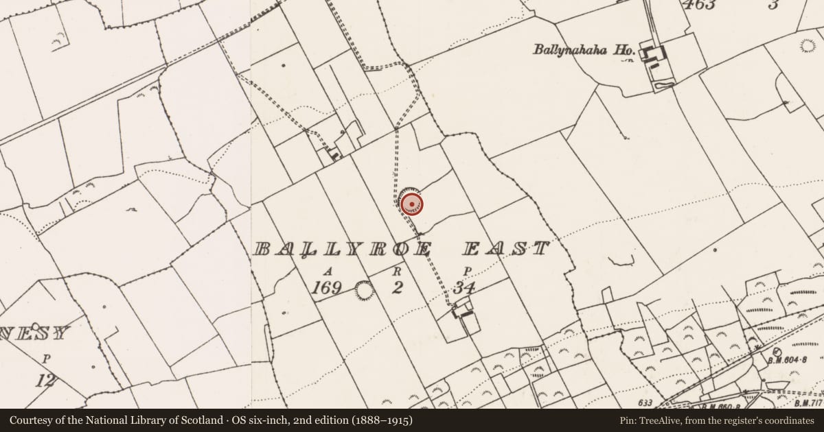 Ordnance Survey six-inch map, 2nd edition (1888–1915) covering the location of Ringfort - rath, Ballyroe East, County Limerick, with a pin at the register's coordinates
