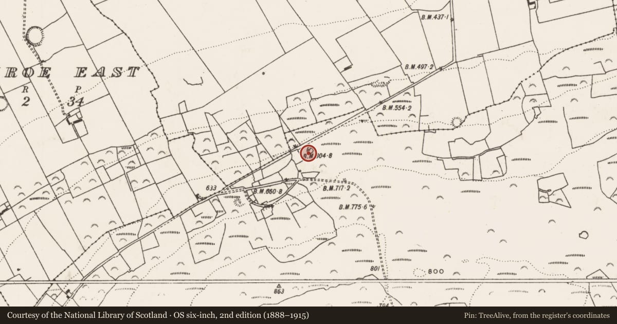 Ordnance Survey six-inch map, 2nd edition (1888–1915) covering the location of Field boundary, Common, County Limerick, with a pin at the register's coordinates