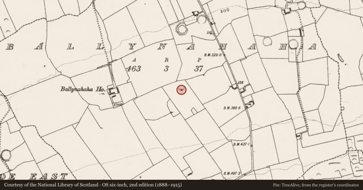 Ordnance Survey six-inch map, 2nd edition (1888–1915) covering the location of Ringfort - rath, Ballynahaha, County Limerick, with a pin at the register's coordinates
