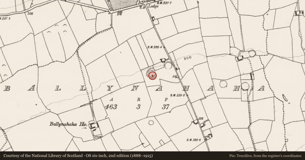 Ordnance Survey six-inch map, 2nd edition (1888–1915) covering the location of Ringfort - rath, Ballynahaha, County Limerick, with a pin at the register's coordinates