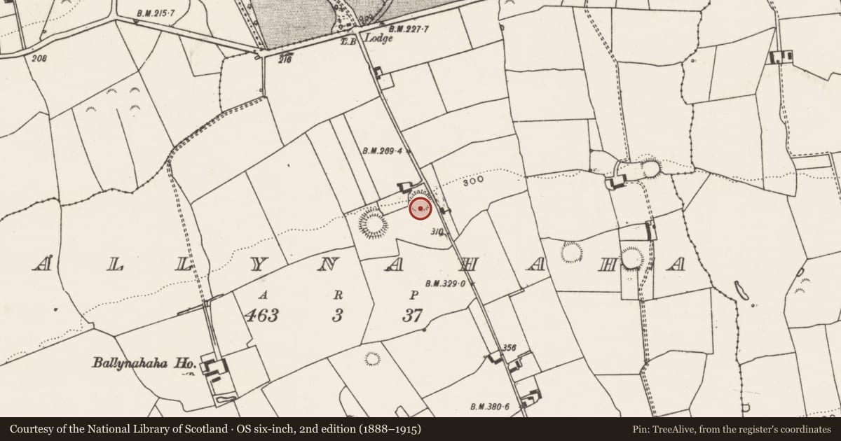 Ordnance Survey six-inch map, 2nd edition (1888–1915) covering the location of Enclosure, Ballynahaha, County Limerick, with a pin at the register's coordinates
