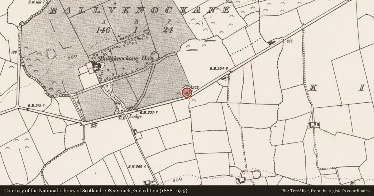 Ordnance Survey six-inch map, 2nd edition (1888–1915) covering the location of Ringfort - rath, Ballynahaha, County Limerick, with a pin at the register's coordinates