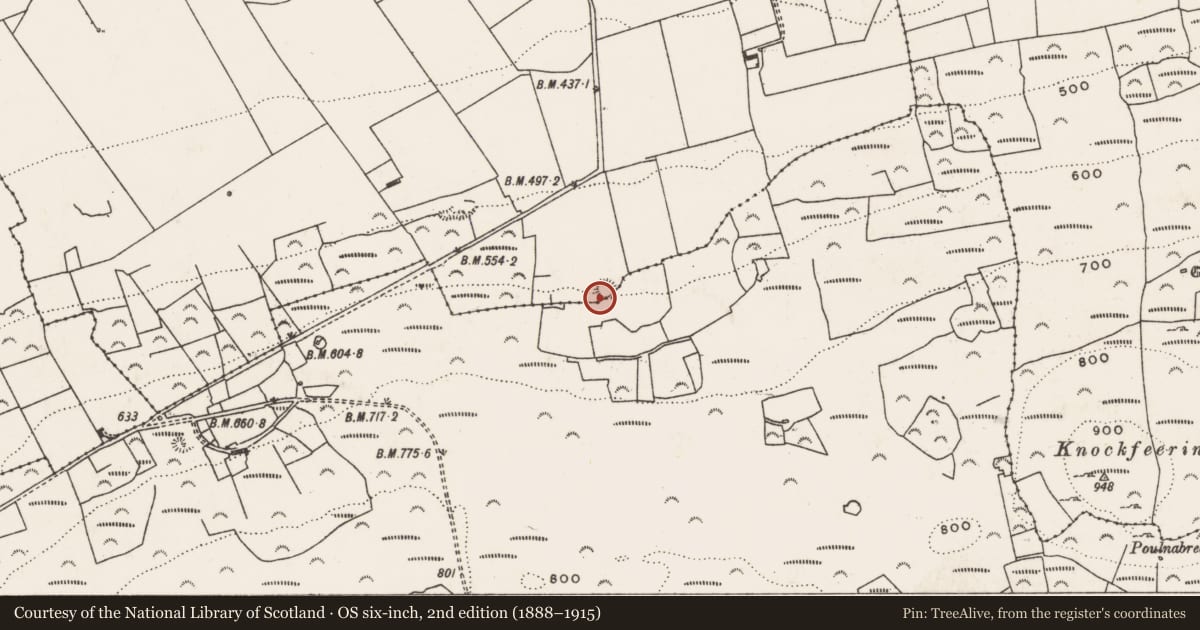 Ordnance Survey six-inch map, 2nd edition (1888–1915) covering the location of Ringfort - rath, Ballynahaha, County Limerick, with a pin at the register's coordinates