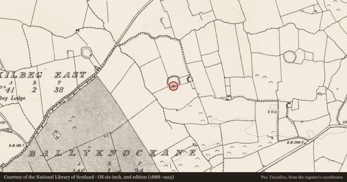 Ordnance Survey six-inch map, 2nd edition (1888–1915) covering the location of Moated site, Kilmacow, County Limerick, with a pin at the register's coordinates