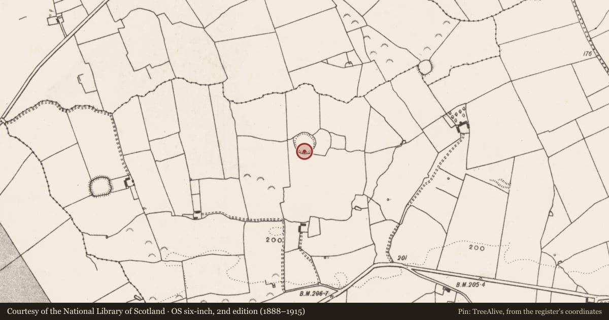 Ordnance Survey six-inch map, 2nd edition (1888–1915) covering the location of Ringfort - rath, Kilmacow, County Limerick, with a pin at the register's coordinates