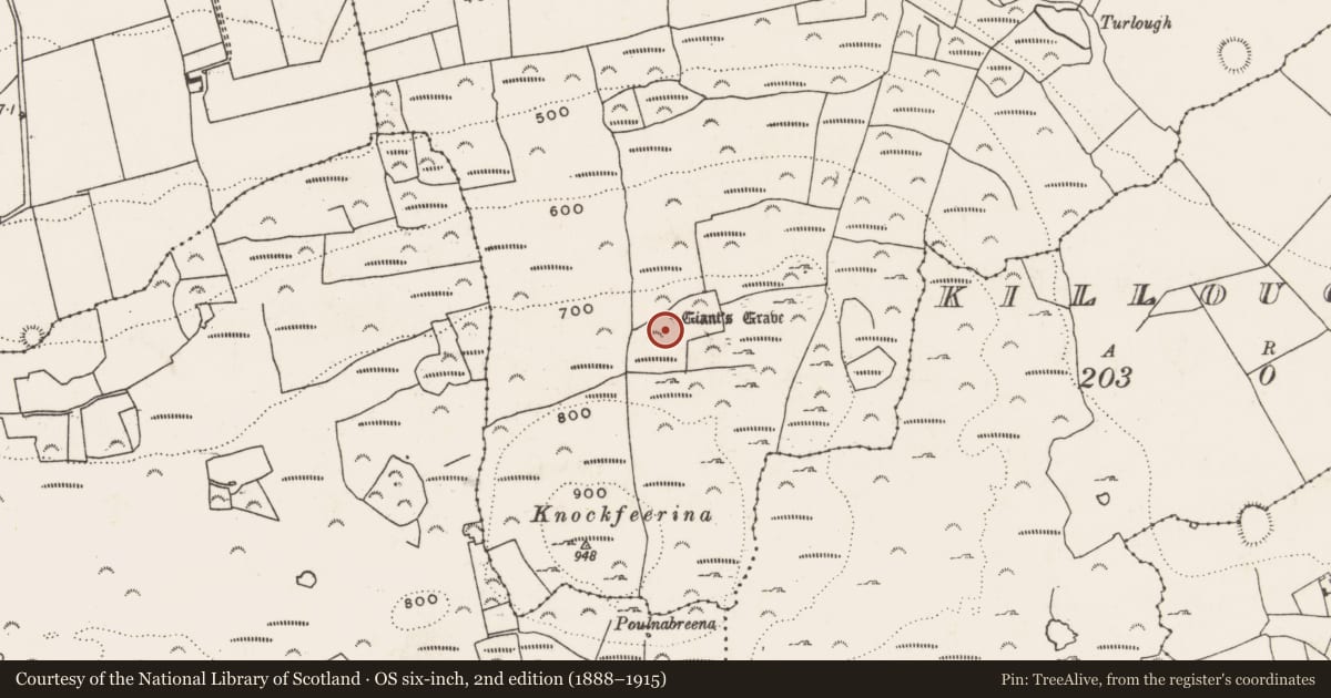 Ordnance Survey six-inch map, 2nd edition (1888–1915) covering the location of Megalithic tomb - wedge tomb, Kilmacow, County Limerick, with a pin at the register's coordinates