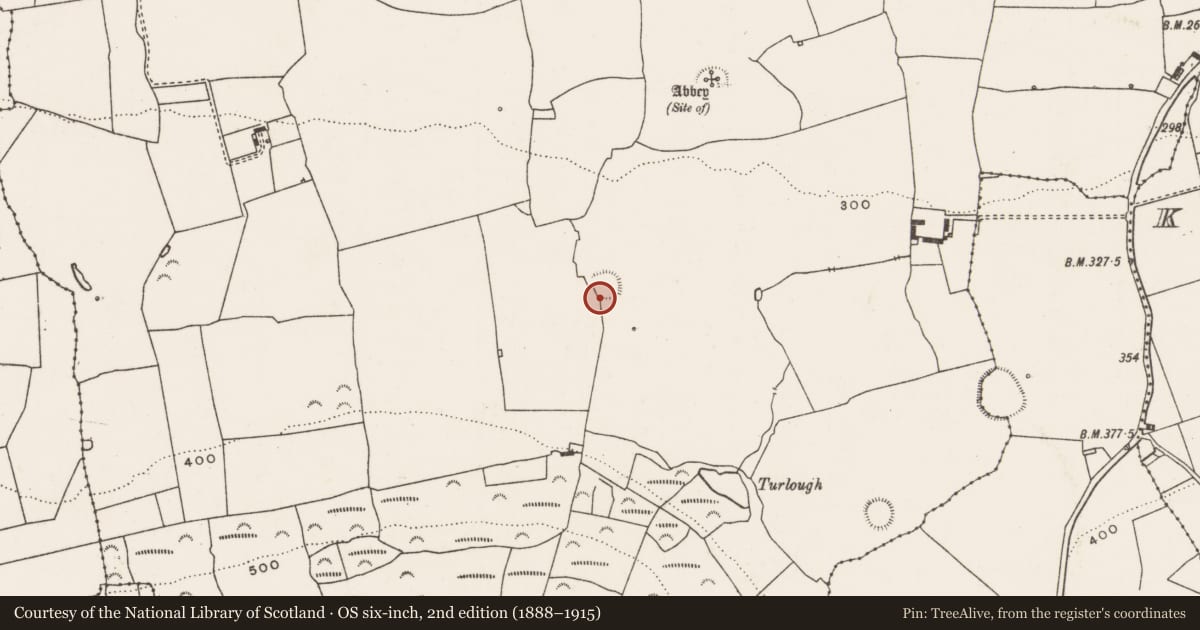 Ordnance Survey six-inch map, 2nd edition (1888–1915) covering the location of Ringfort - rath, Kilmacow, County Limerick, with a pin at the register's coordinates
