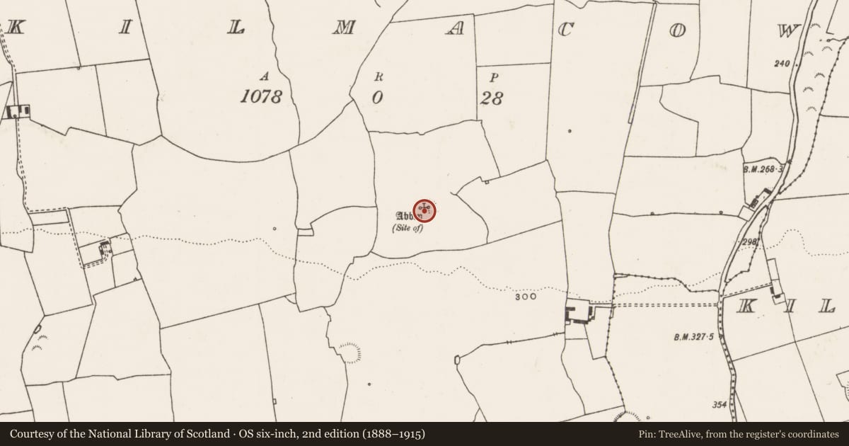Ordnance Survey six-inch map, 2nd edition (1888–1915) covering the location of Church, Kilmacow, County Limerick, with a pin at the register's coordinates