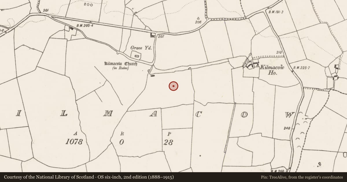 Ordnance Survey six-inch map, 2nd edition (1888–1915) covering the location of Ringfort - rath, Kilmacow, County Limerick, with a pin at the register's coordinates