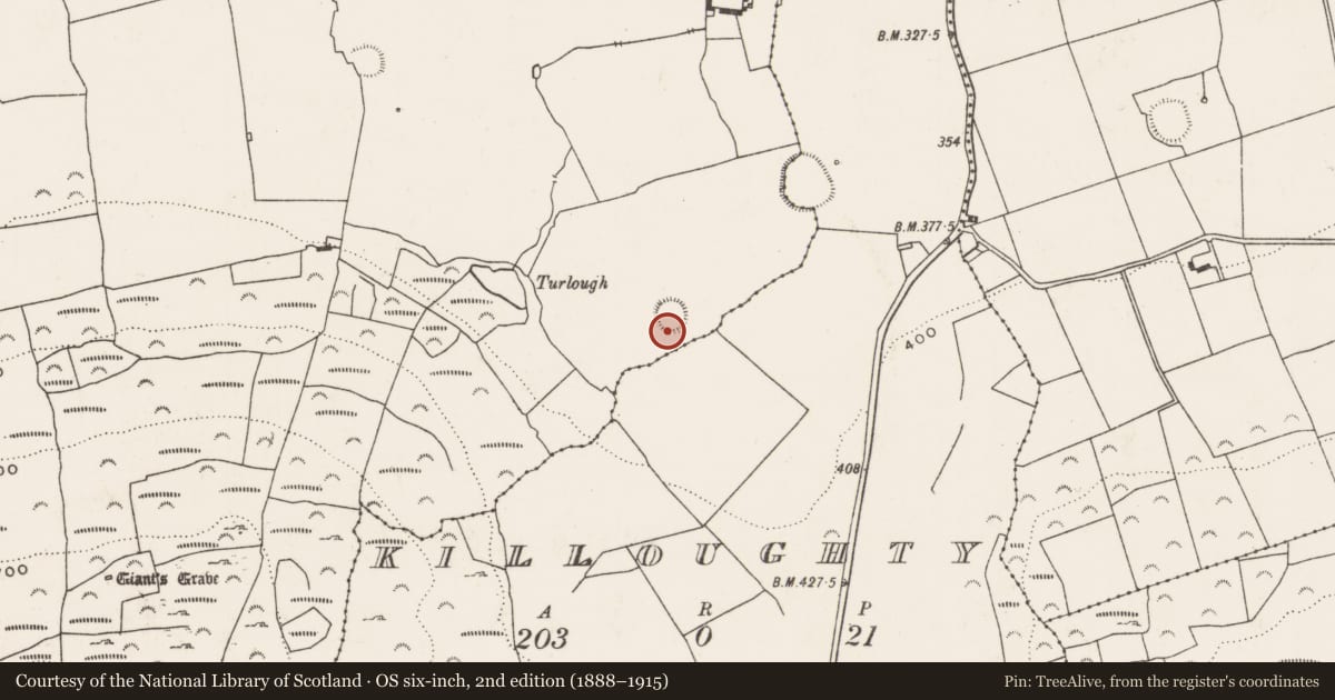 Ordnance Survey six-inch map, 2nd edition (1888–1915) covering the location of Ringfort - rath, Kilmacow, County Limerick, with a pin at the register's coordinates