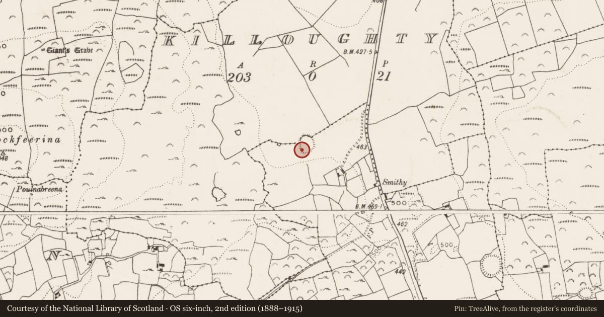 Ordnance Survey six-inch map, 2nd edition (1888–1915) covering the location of Ringfort - rath, Ballyvologe, County Limerick, with a pin at the register's coordinates