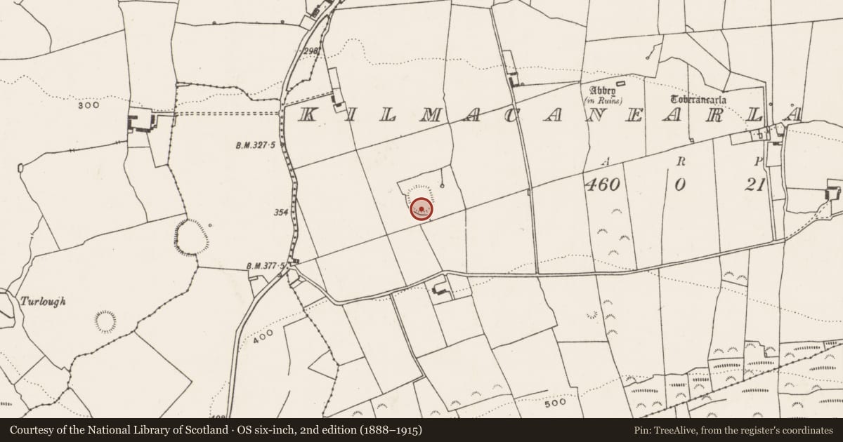 Ordnance Survey six-inch map, 2nd edition (1888–1915) covering the location of Ringfort - rath, Kilmacanearla North, County Limerick, with a pin at the register's coordinates