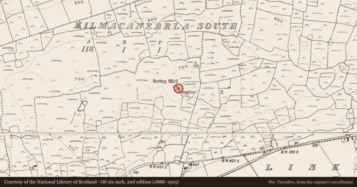 Ordnance Survey six-inch map, 2nd edition (1888–1915) covering the location of Ringfort - cashel, Graigacurragh, County Limerick, with a pin at the register's coordinates