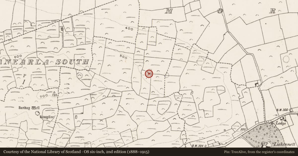Ordnance Survey six-inch map, 2nd edition (1888–1915) covering the location of Ringfort - rath, Liskennett West, County Limerick, with a pin at the register's coordinates