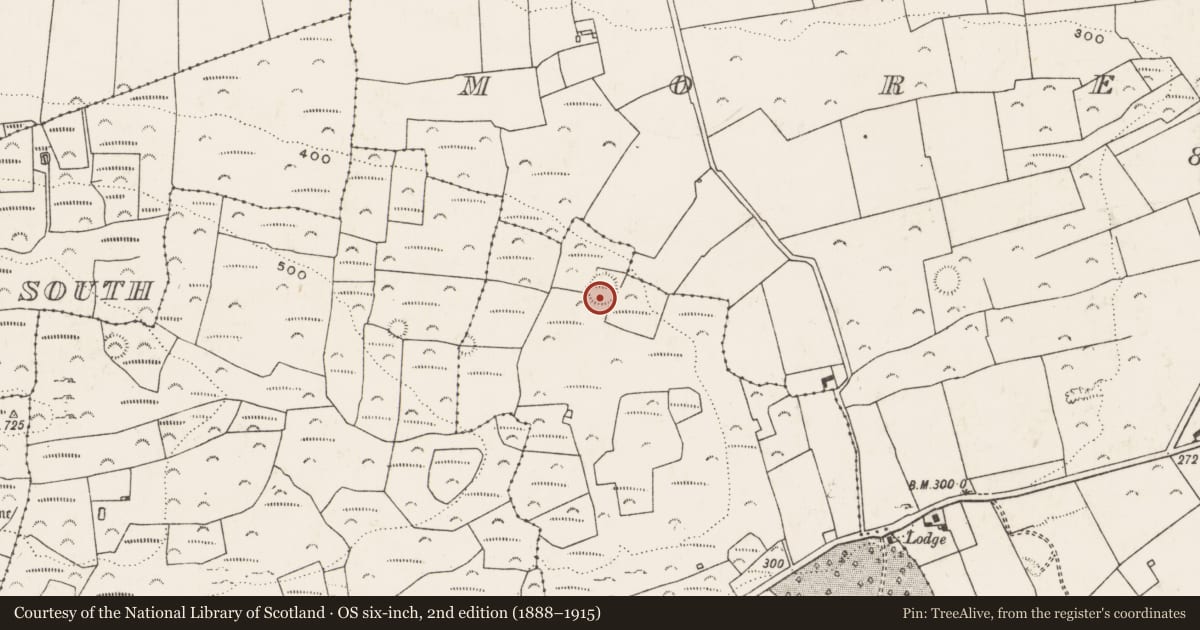 Ordnance Survey six-inch map, 2nd edition (1888–1915) covering the location of Ringfort - rath, Liskennett East, County Limerick, with a pin at the register's coordinates