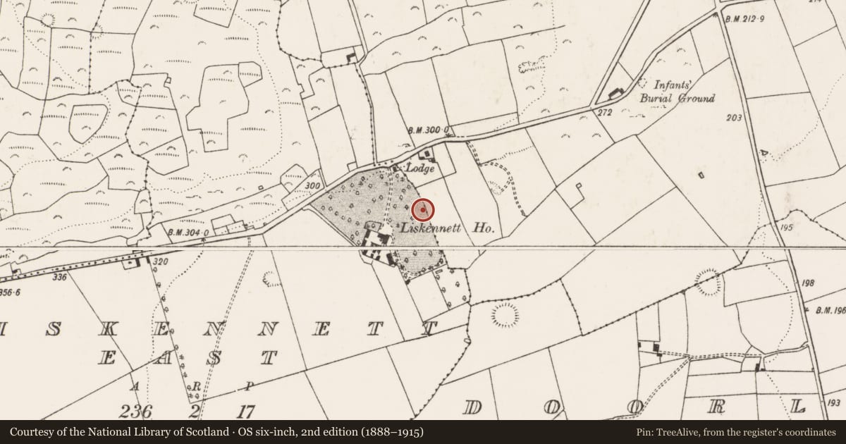 Ordnance Survey six-inch map, 2nd edition (1888–1915) covering the location of Cist, Morenane, County Limerick, with a pin at the register's coordinates