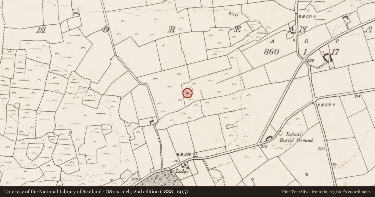 Ordnance Survey six-inch map, 2nd edition (1888–1915) covering the location of Ringfort - rath, Morenane, County Limerick, with a pin at the register's coordinates