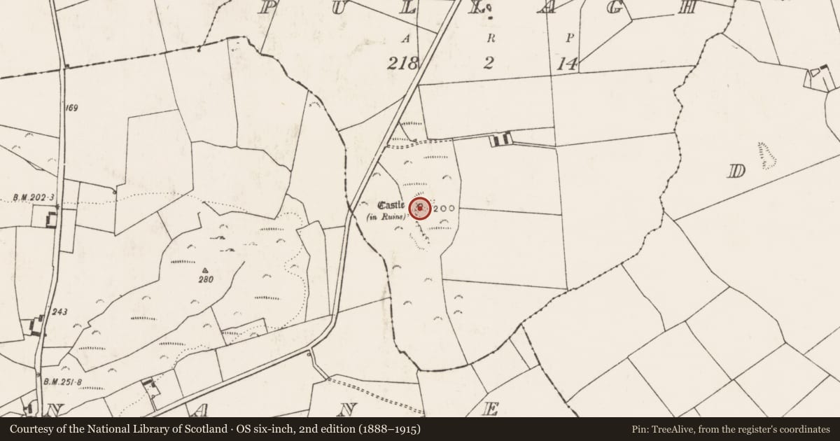 Ordnance Survey six-inch map, 2nd edition (1888–1915) covering the location of Castle - unclassified, Pullagh, County Limerick, with a pin at the register's coordinates