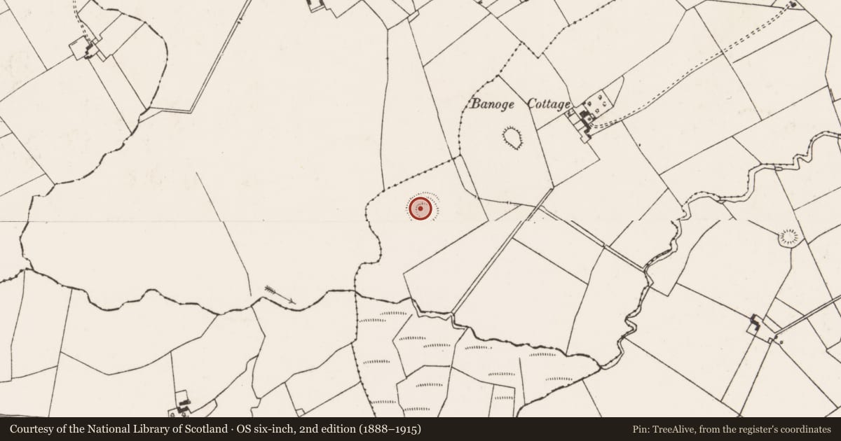 Ordnance Survey six-inch map, 2nd edition (1888–1915) covering the location of Enclosure, Ballynabanoge, County Limerick, with a pin at the register's coordinates