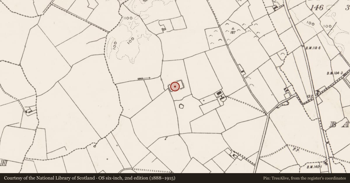 Ordnance Survey six-inch map, 2nd edition (1888–1915) covering the location of Moated site, Dohora, County Limerick, with a pin at the register's coordinates