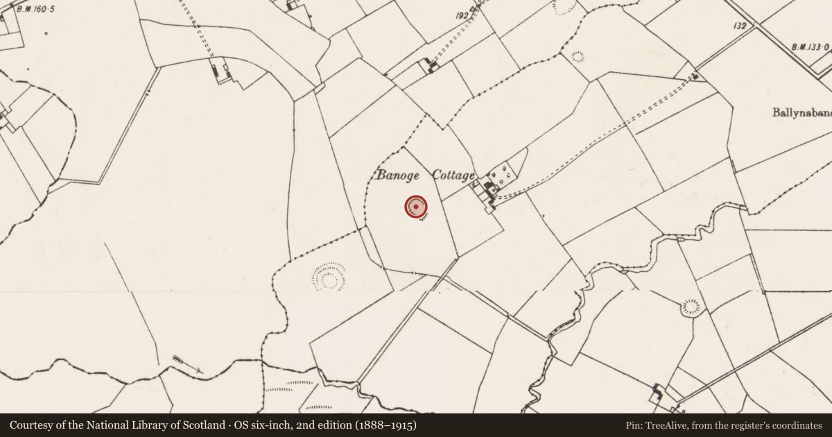 Ordnance Survey six-inch map, 2nd edition (1888–1915) covering the location of Ringfort - rath, Ballynabanoge, County Limerick, with a pin at the register's coordinates