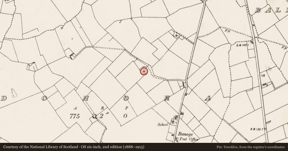 Ordnance Survey six-inch map, 2nd edition (1888–1915) covering the location of Ringfort - rath, Dohora, County Limerick, with a pin at the register's coordinates