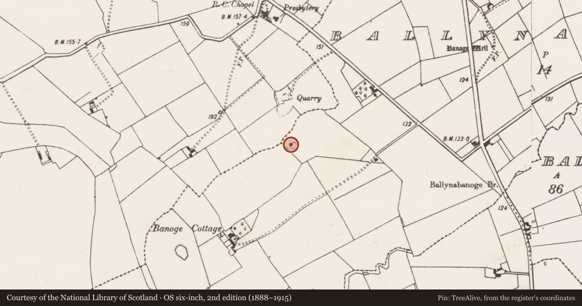Ordnance Survey six-inch map, 2nd edition (1888–1915) covering the location of Ringfort - rath, Ballynabanoge, County Limerick, with a pin at the register's coordinates