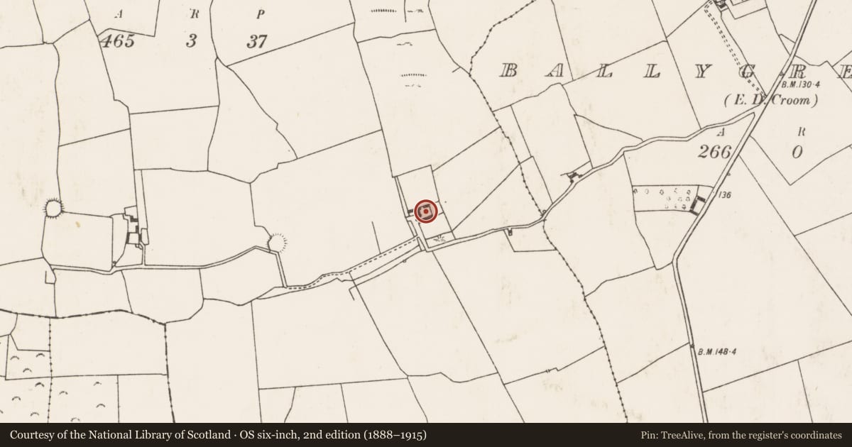 Ordnance Survey six-inch map, 2nd edition (1888–1915) covering the location of Country house, Dollas Upper, County Limerick, with a pin at the register's coordinates