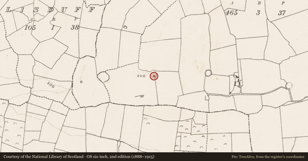 Ordnance Survey six-inch map, 2nd edition (1888–1915) covering the location of Ringfort - rath, Dollas Upper, County Limerick, with a pin at the register's coordinates