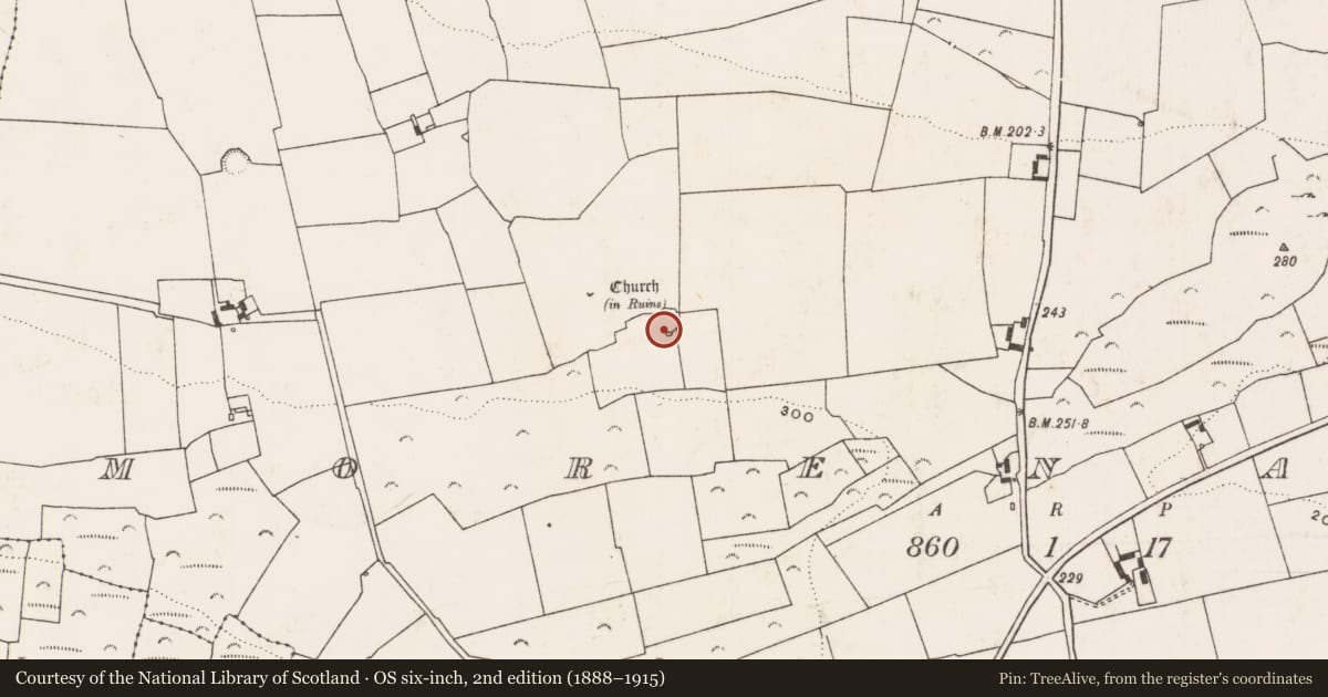 Ordnance Survey six-inch map, 2nd edition (1888–1915) covering the location of Enclosure, Morenane, County Limerick, with a pin at the register's coordinates