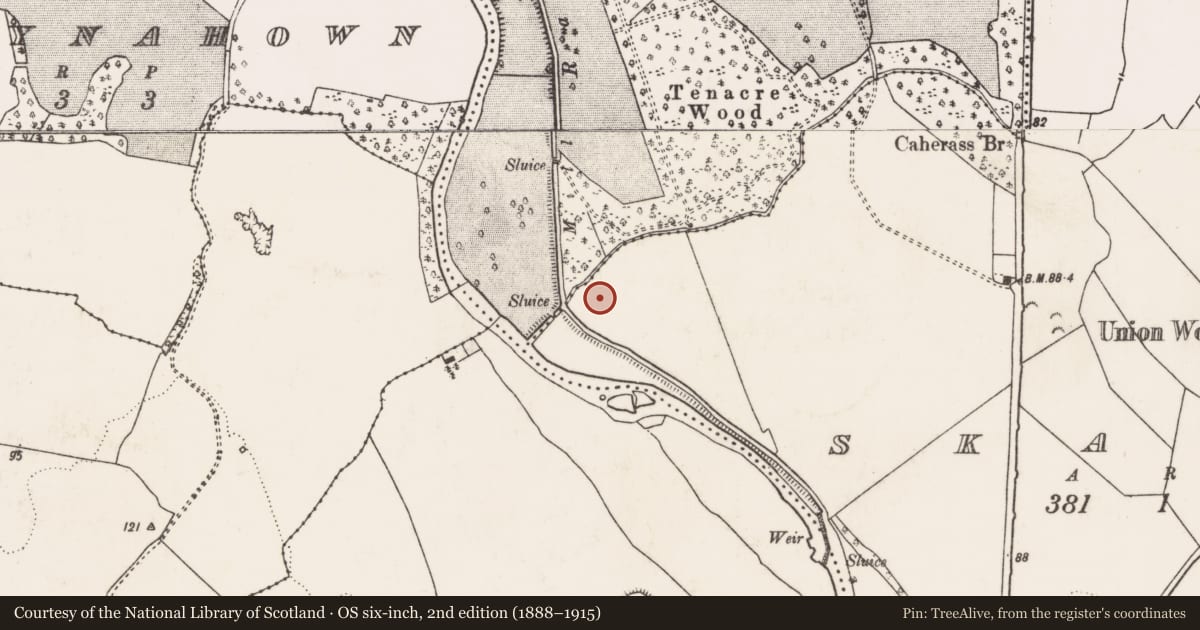 Ordnance Survey six-inch map, 2nd edition (1888–1915) covering the location of Excavation - miscellaneous, Croom, County Limerick, with a pin at the register's coordinates