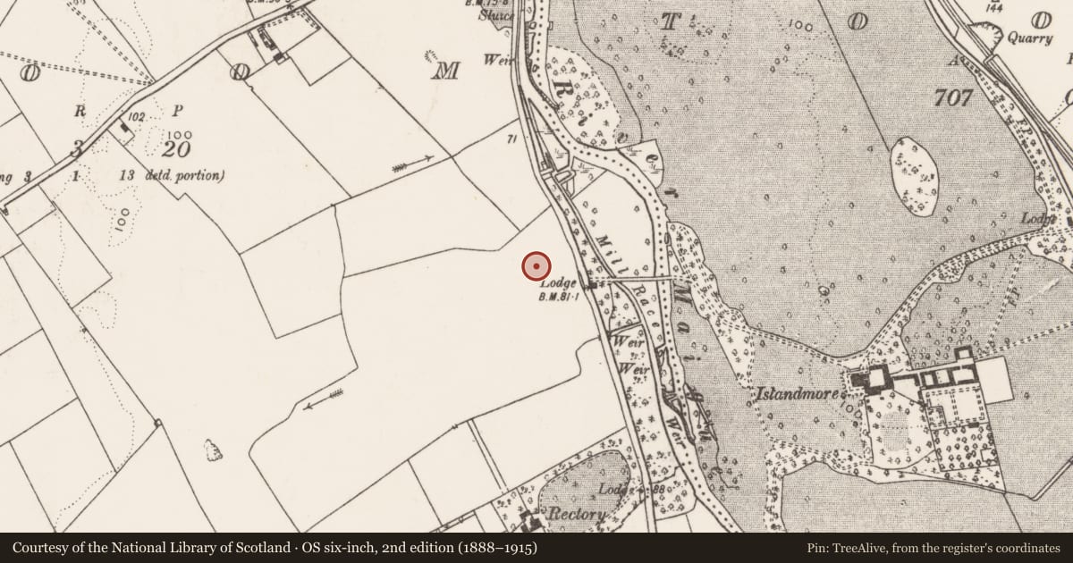 Ordnance Survey six-inch map, 2nd edition (1888–1915) covering the location of Ringfort - rath, Croom, County Limerick, with a pin at the register's coordinates